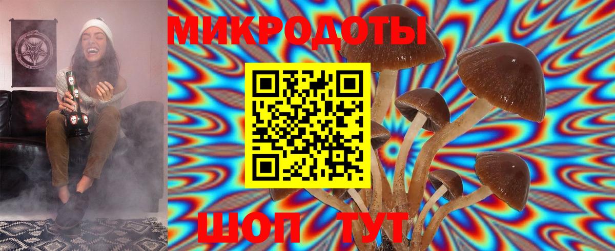 Ленинск-Кузнецкий  Галлюциногенные грибы мицелий  Галлюциногенные грибы Psilocybine cubensis  Вход с VPN 